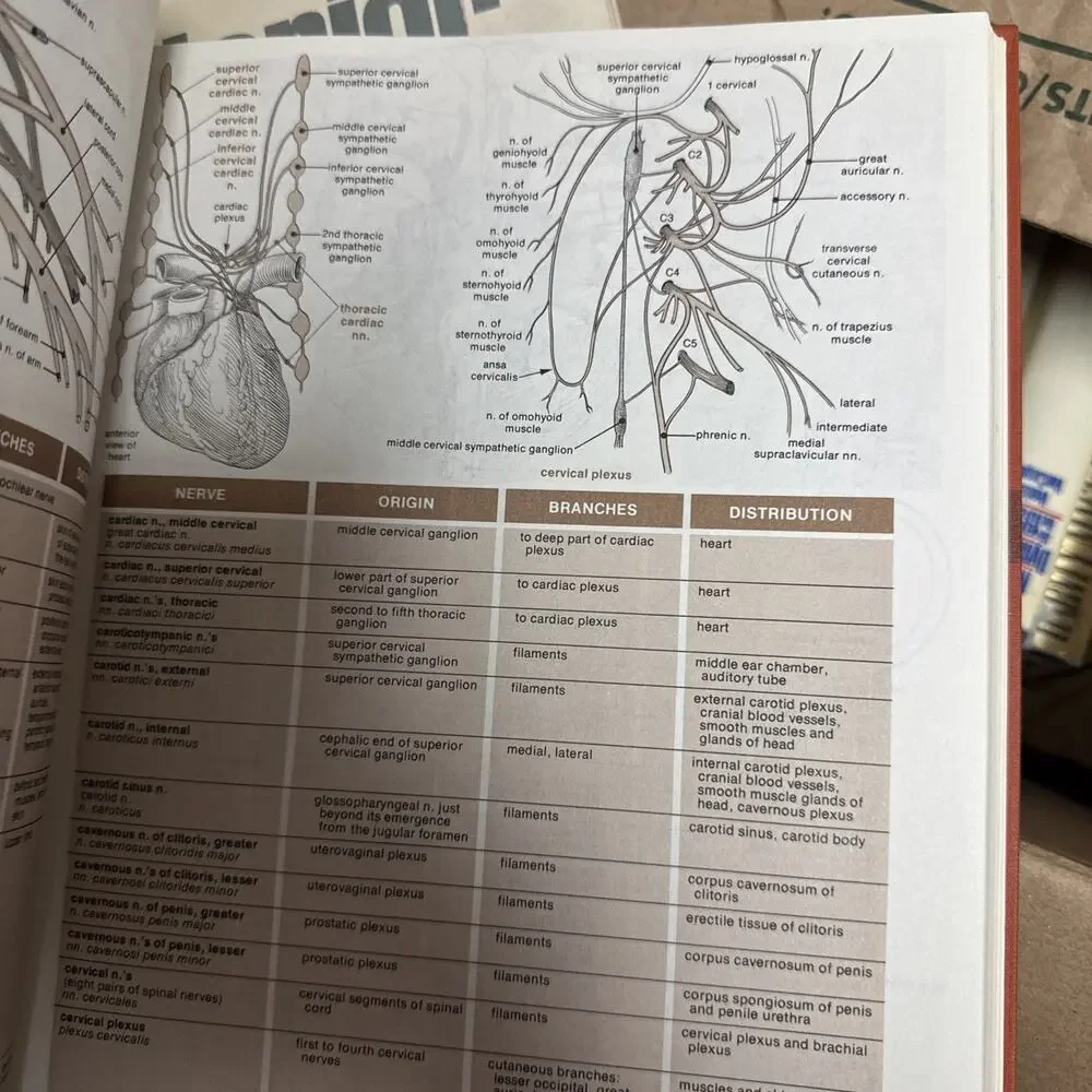 Melloni's Illustrated Medical Dictionary Dox Melloni‎ Eisne 1979 Hardcover Book